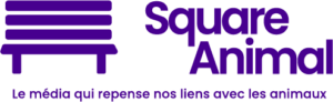 Square Animal-logo